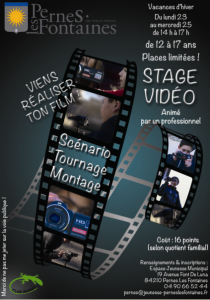 Capture affiche stage vidéo